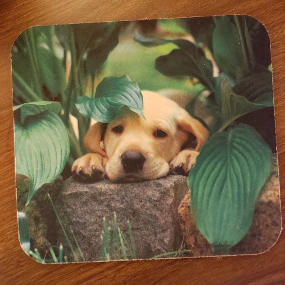 Mouse Pad Puppy